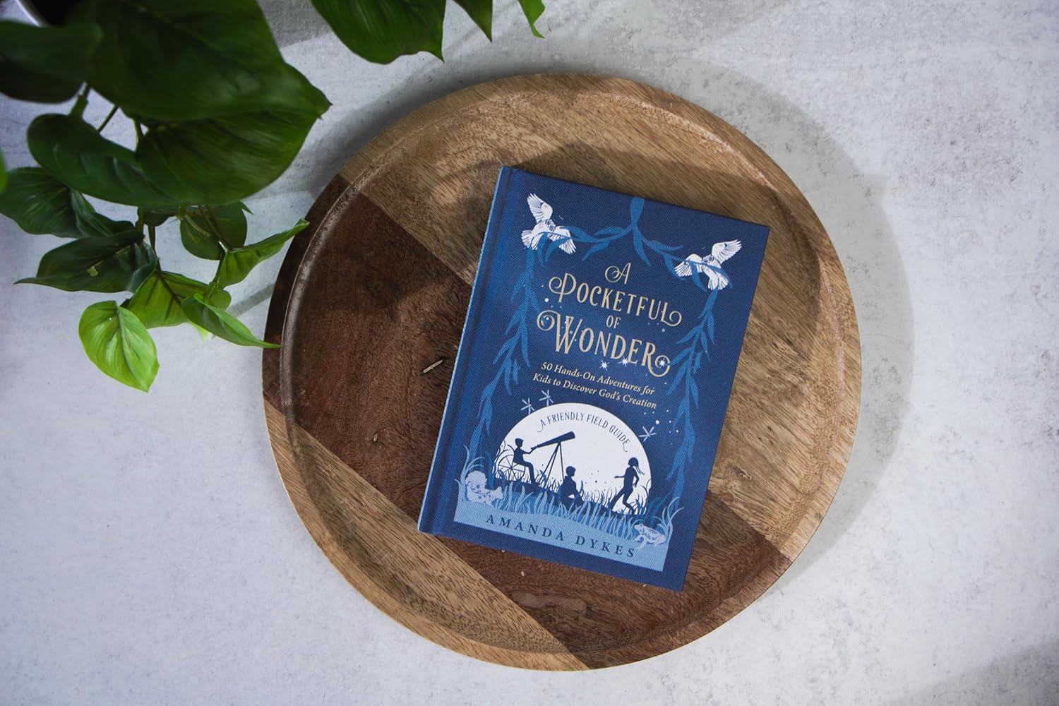 A Pocketful of Wonder - Image 2