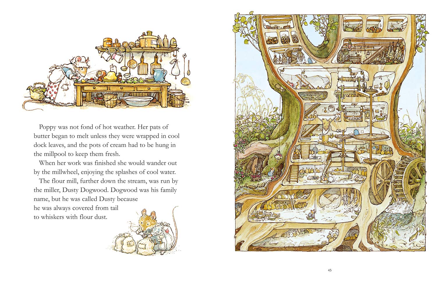 Brambly Hedge: The Classic Collection ~ 40th Anniversary Box Set - Image 4