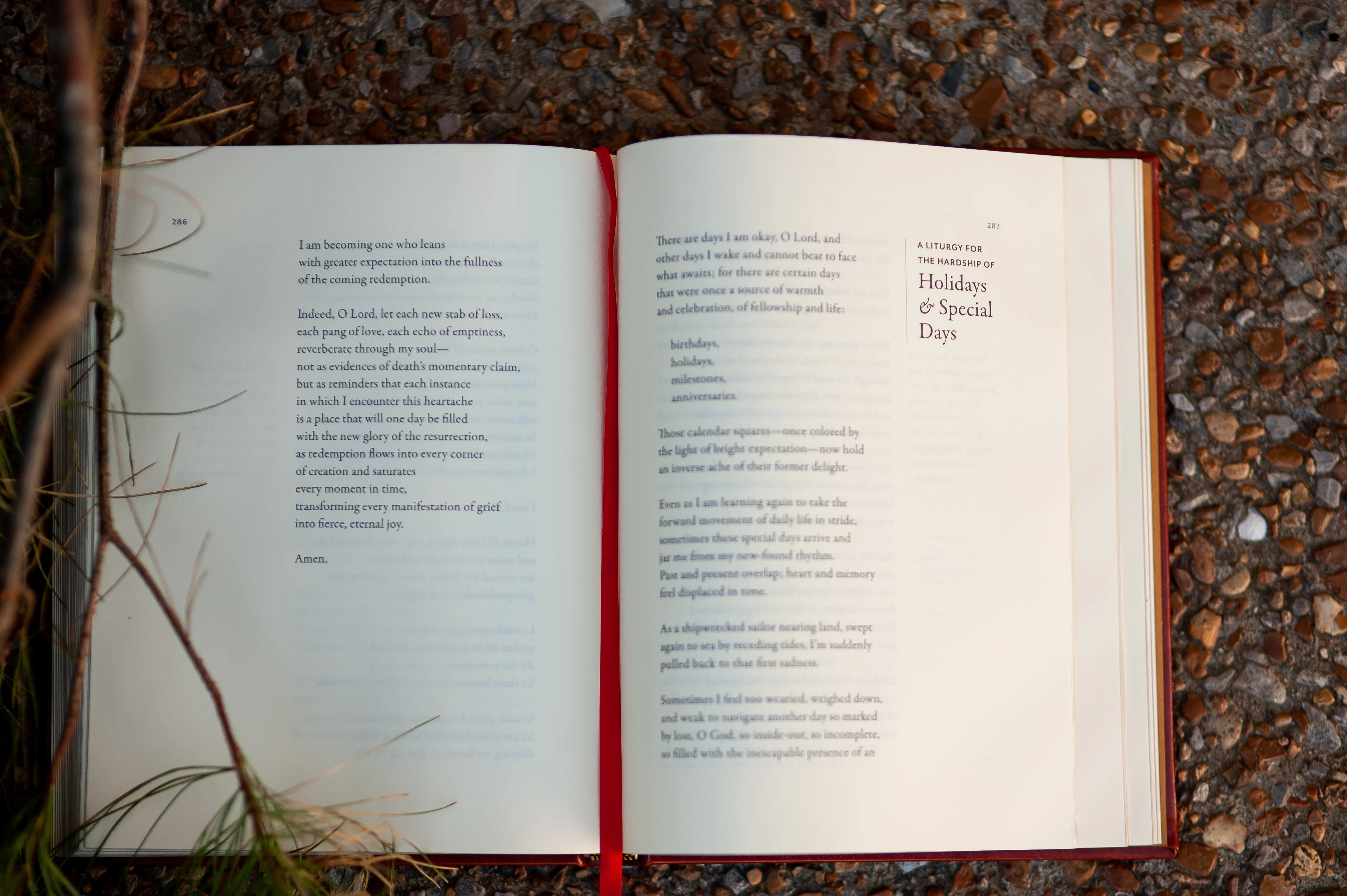 Every Moment Holy: Death, Grief, and Hope Pocket Edition Case (24 books) - Image 6
