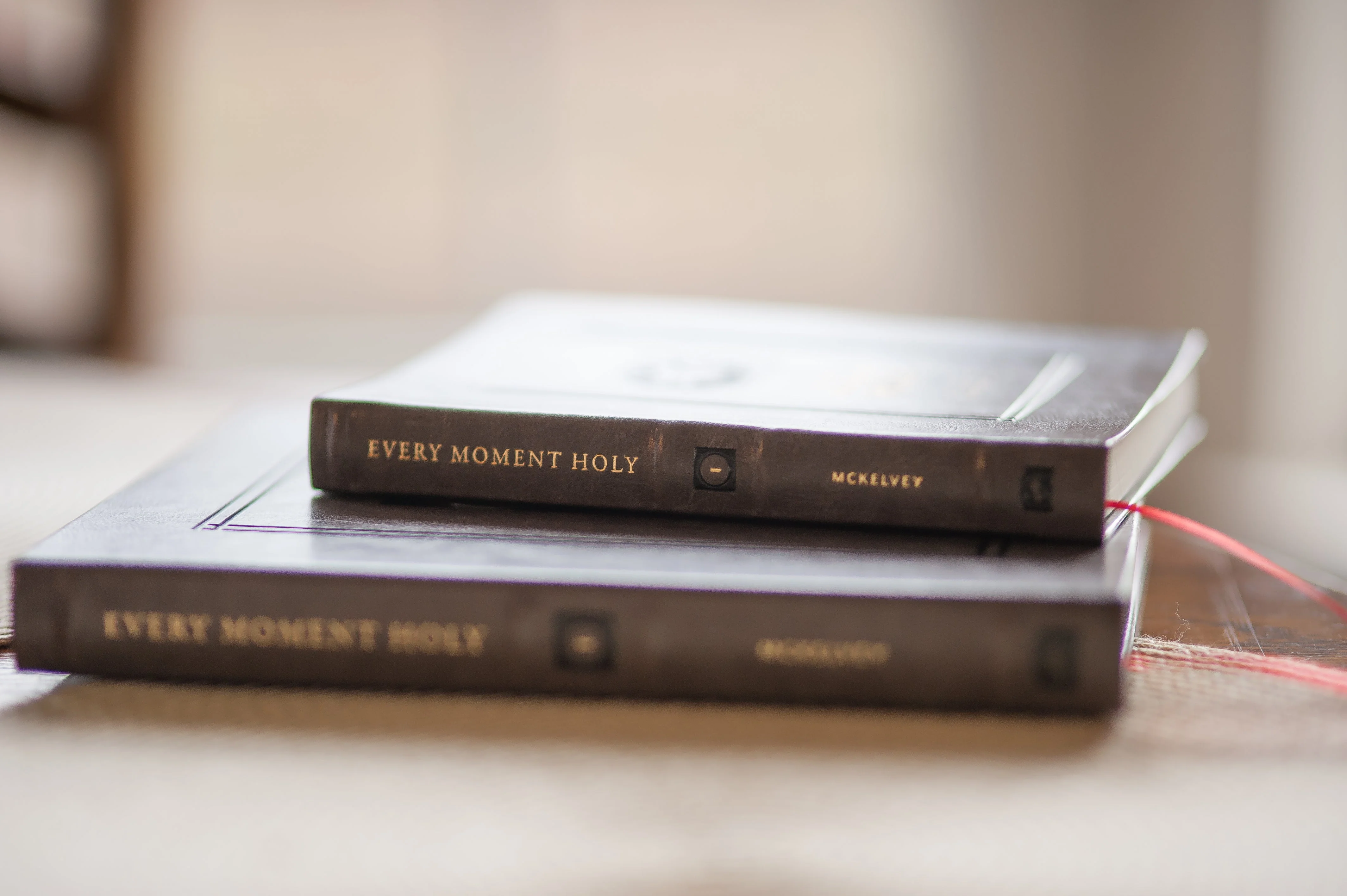 Every Moment Holy: Liturgies for Daily Life Pocket Edition Case (24 Books) - Image 6