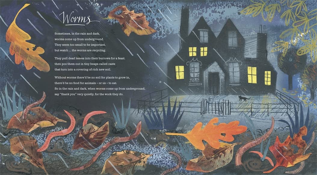 Outside Your Window: A First Book of Nature - Image 3
