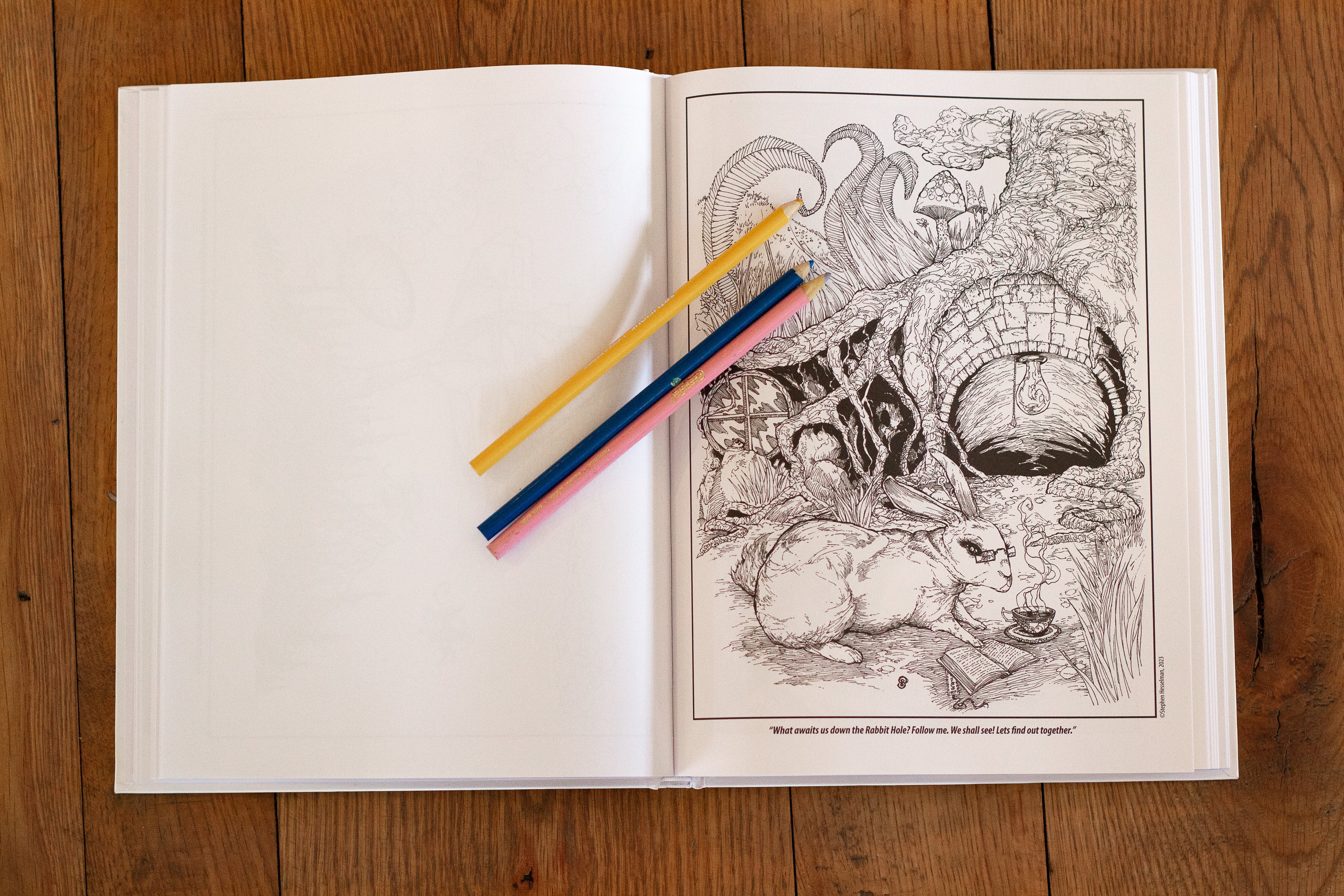 Serial Adventures and Daydreams: An All-Ages Coloring Book by Stephen Hesselman - Image 2