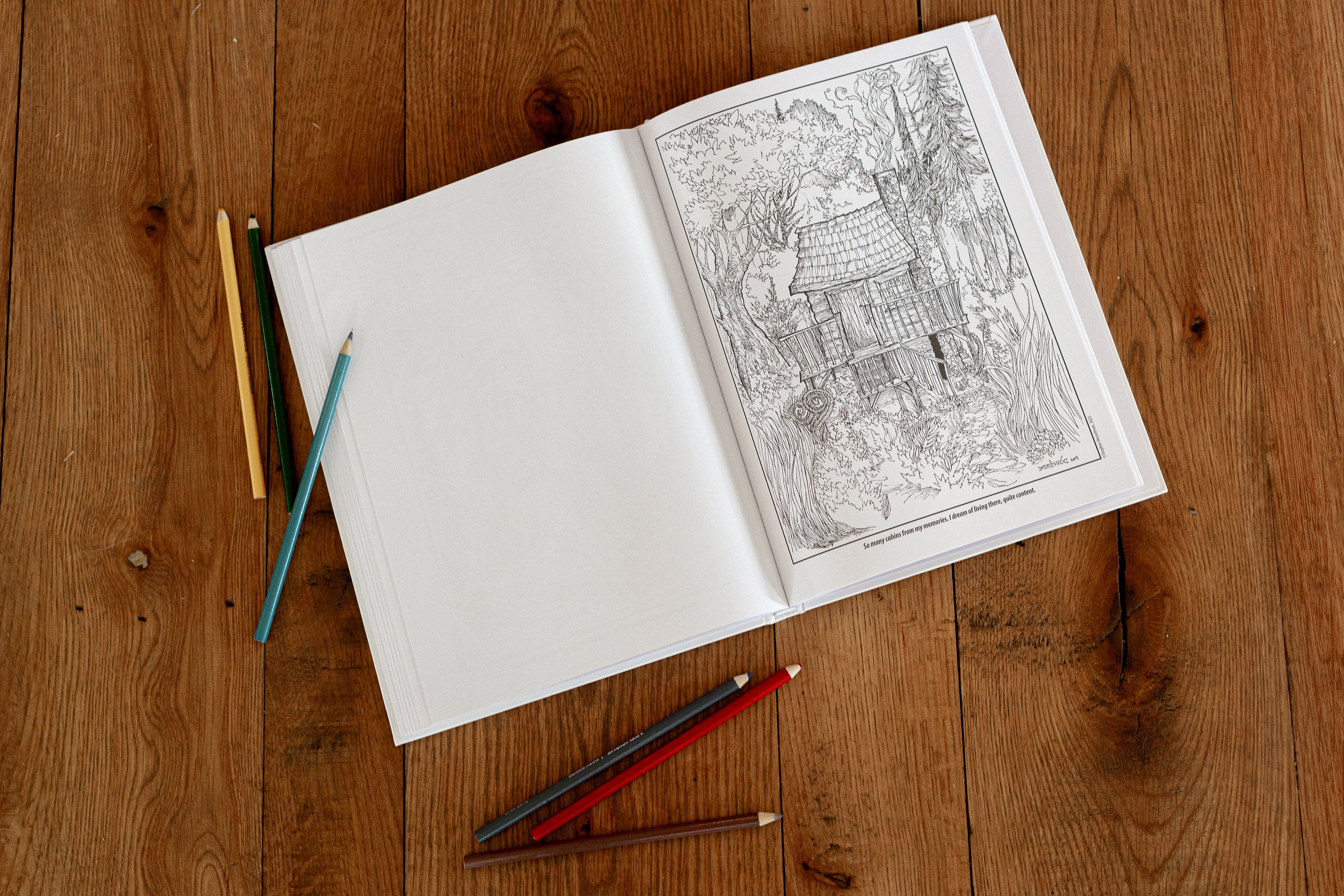 Serial Adventures and Daydreams: An All-Ages Coloring Book by Stephen Hesselman - Image 3